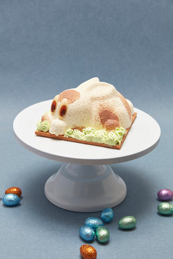 2023 Easter Bunny Cake