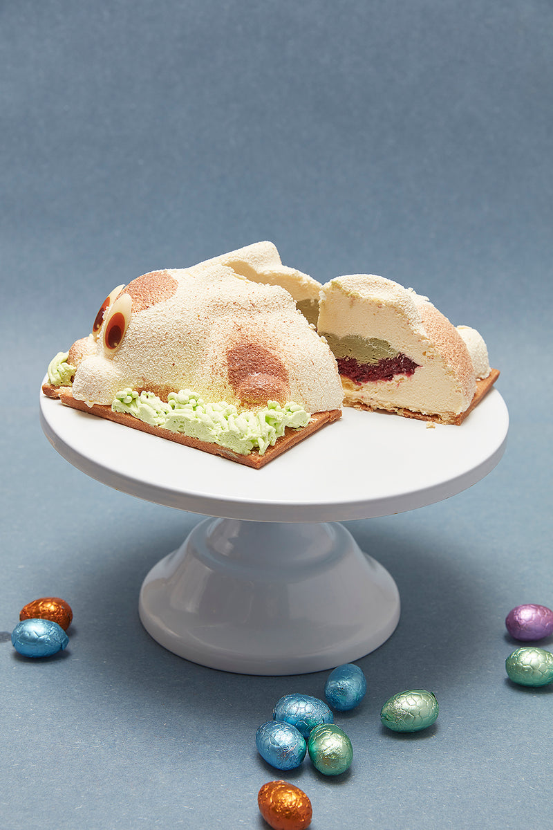 2023 Easter Bunny Cake